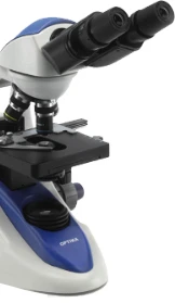 Binocular microscope