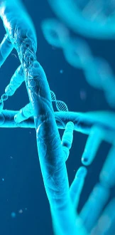 Thermocycleurs - Machines PCR